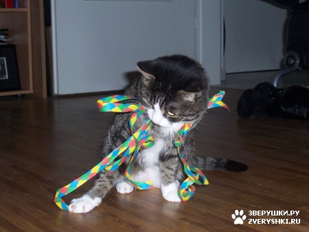 ��������� ��������