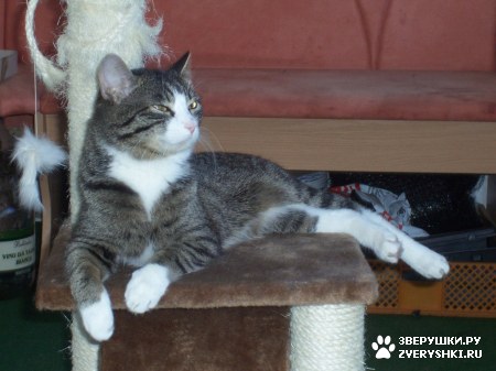 ��������� ��������