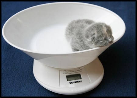 ��������� ��������