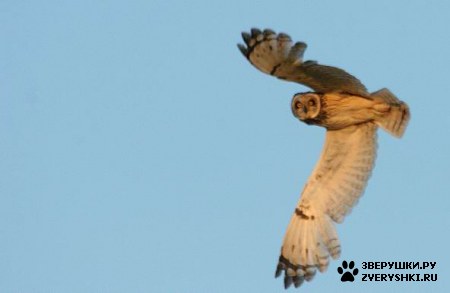 ��������� ��������