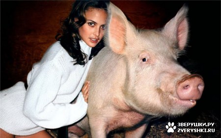 ��������� ��������