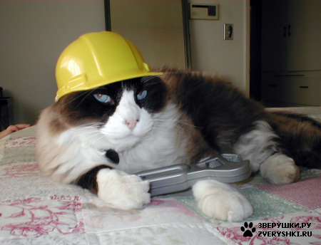 ��������� ��������