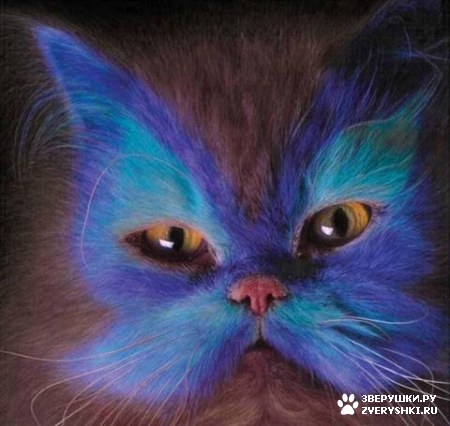 ��������� ��������