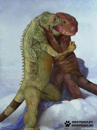 ��������� ��������