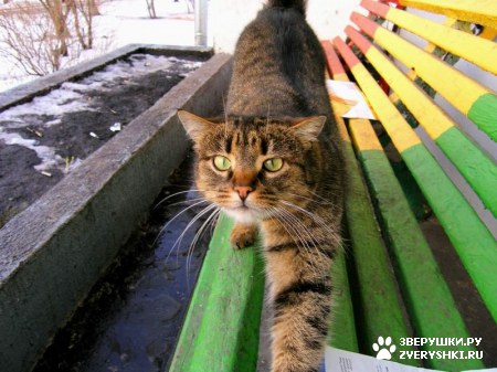 ��������� ��������