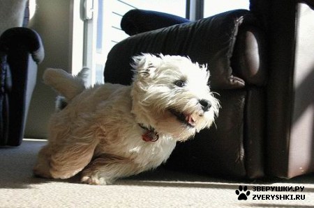 ��������� ��������