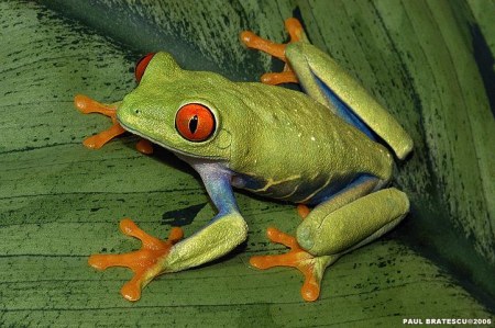 ��������� ��������