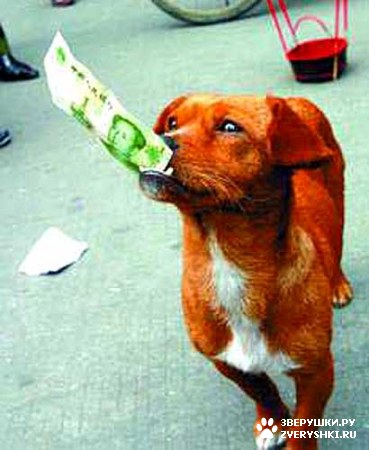 ��������� ��������