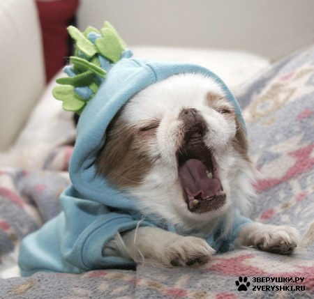 ��������� ��������