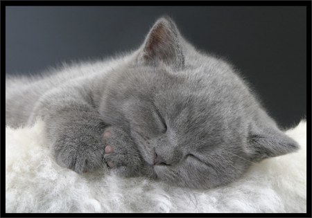 ��������� ��������