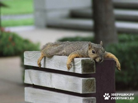 ��������� ��������