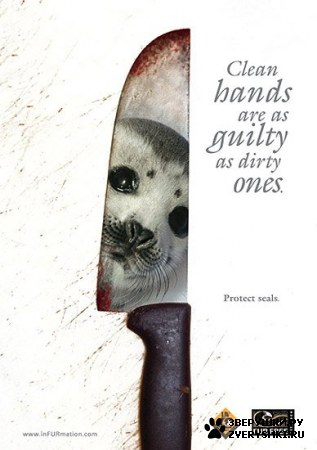 ��������� ��������