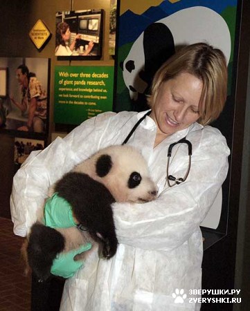 ��������� ��������