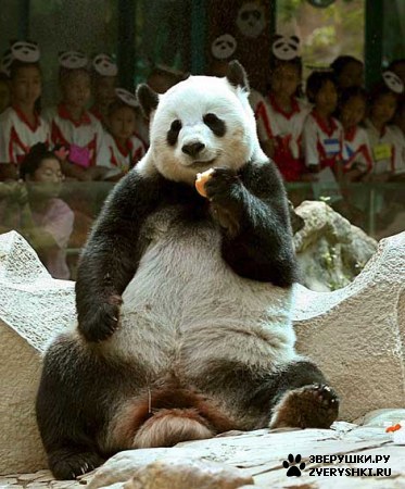 ��������� ��������