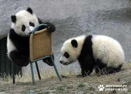 ��������� ��������