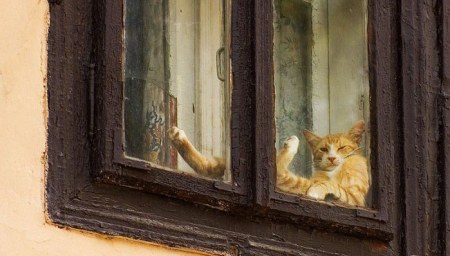 ��������� ��������