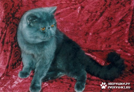 ��������� ��������