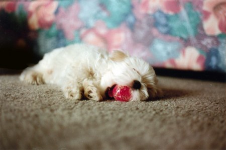 ��������� ��������