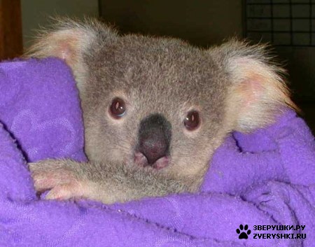 ��������� ����� :)