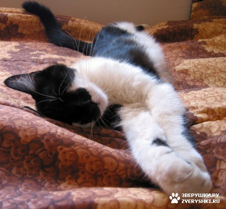 ����������� ���� ���! :)