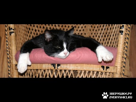 ������������ :)