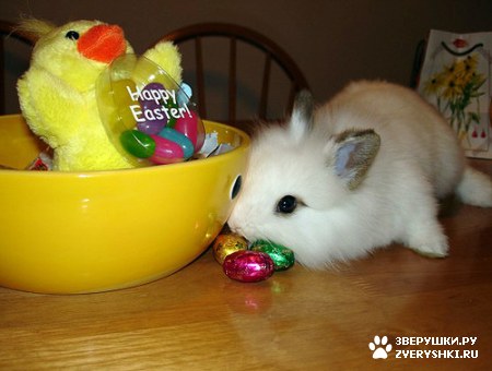 ���������� ������ :) (2 ����)