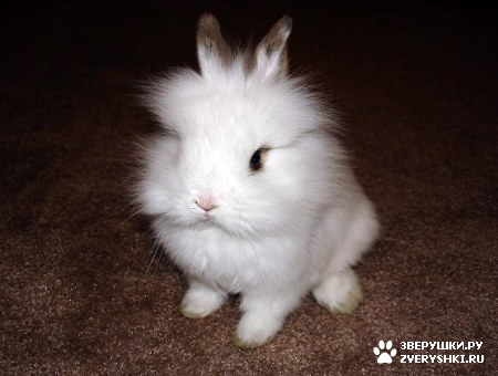 ������� ��� ������� ������! ;)