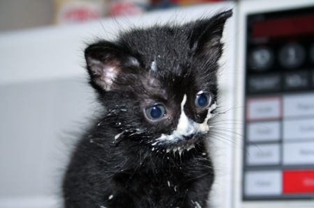 ��, ��� ��� ������! ����... :)