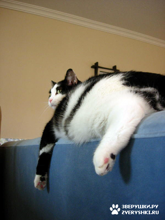 ����� ������� ��������� :)