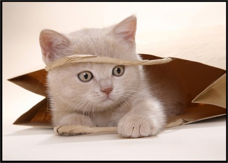 ����������� � ��������� ��� ��������! :)