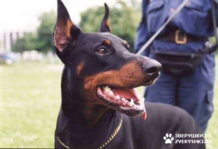 ��������-������ :)