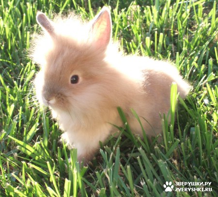 ������� ��� ��������! :)