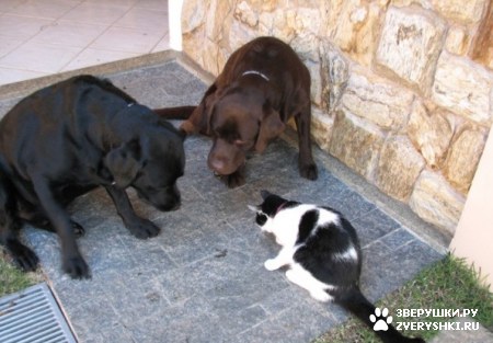 ��������, ���� :)