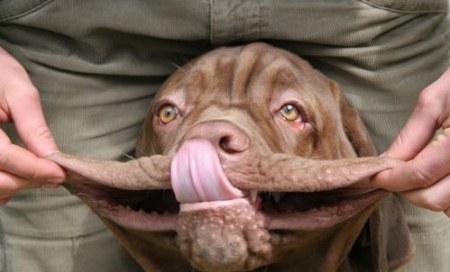 � ��� �����? :)