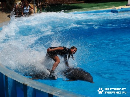 ������ �� ����������� :) (31 ����)