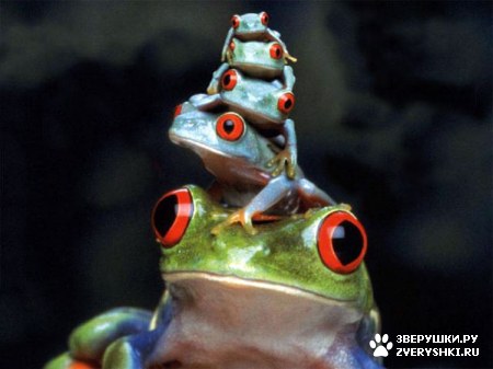 ����������� ��� ����������! :)