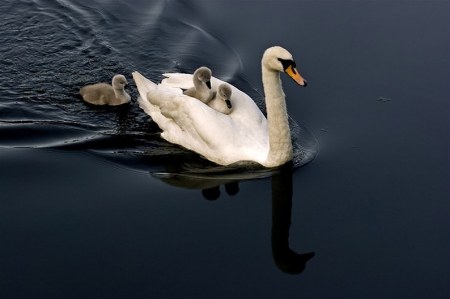 �� ������� �����... :)