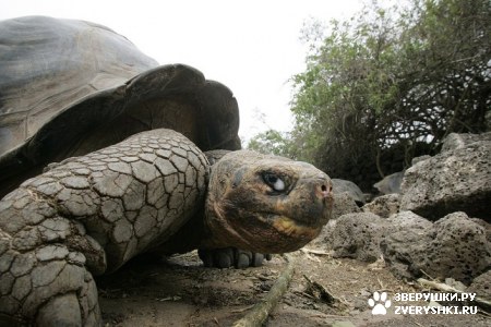 �� ����� "������" :)