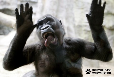 ��� ����? :)