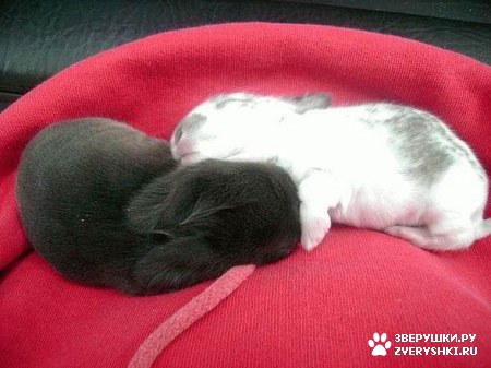 ��� � ��� :)