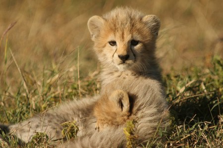 ��������� ��� ��������! :)