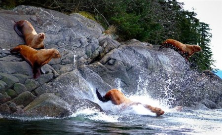 ������� ���� �� ������ :)