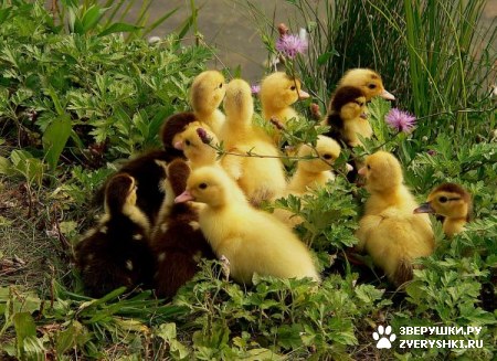 ��������� ���� ����������! :)