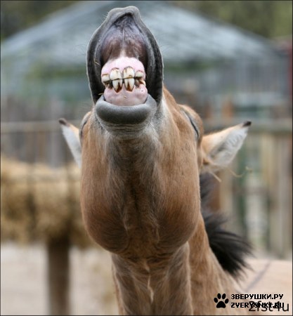 ���������� ����! ��� �� ��� ��������� :)