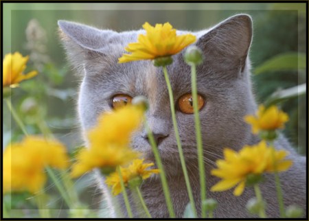 ���������� ��� ������� ������! :)