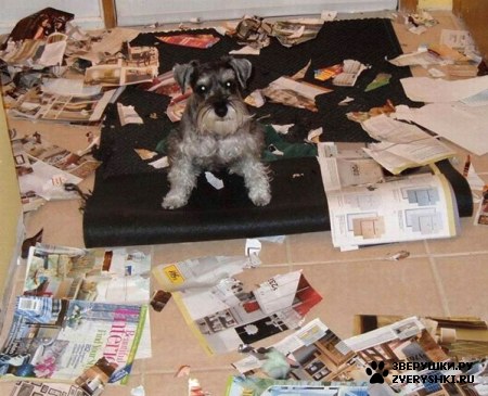 �� ���, ������ �� �������� ���� ��������? :)