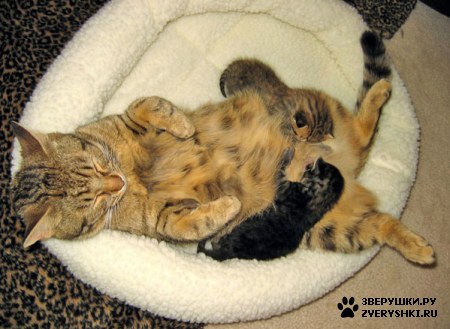 �������� ����� ������� :)