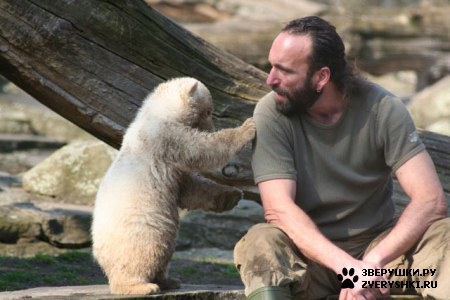 ���������� ���� (20 ����)