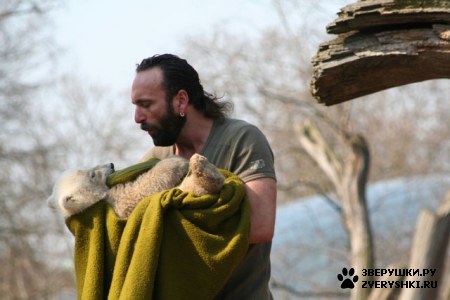 ���������� ���� (20 ����)