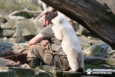 ���������� ���� (20 ����)